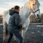 ostéopathe en train de manipuler un cheval dans un centre equestre en haute savoie
