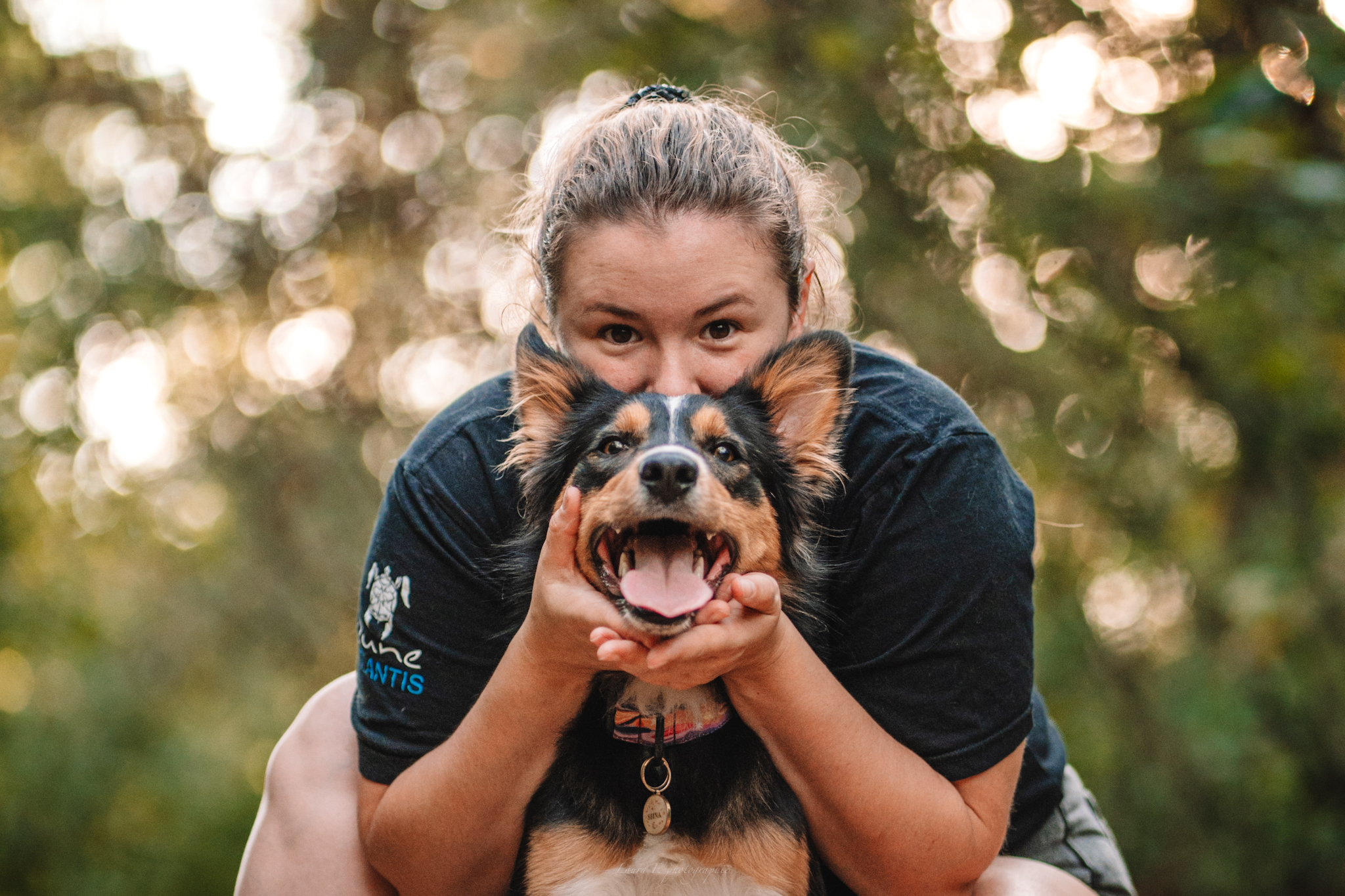 chien border collie heureux d'avoir sa séance d'ostéopathie avec Laura Fitamant, Animaura