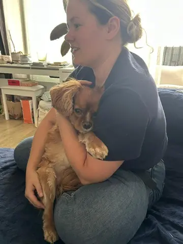 chien senior de 10 ans qui avait fait un avc a pu etre prise en charge de maniere douce et a l'écoute de ses besoins